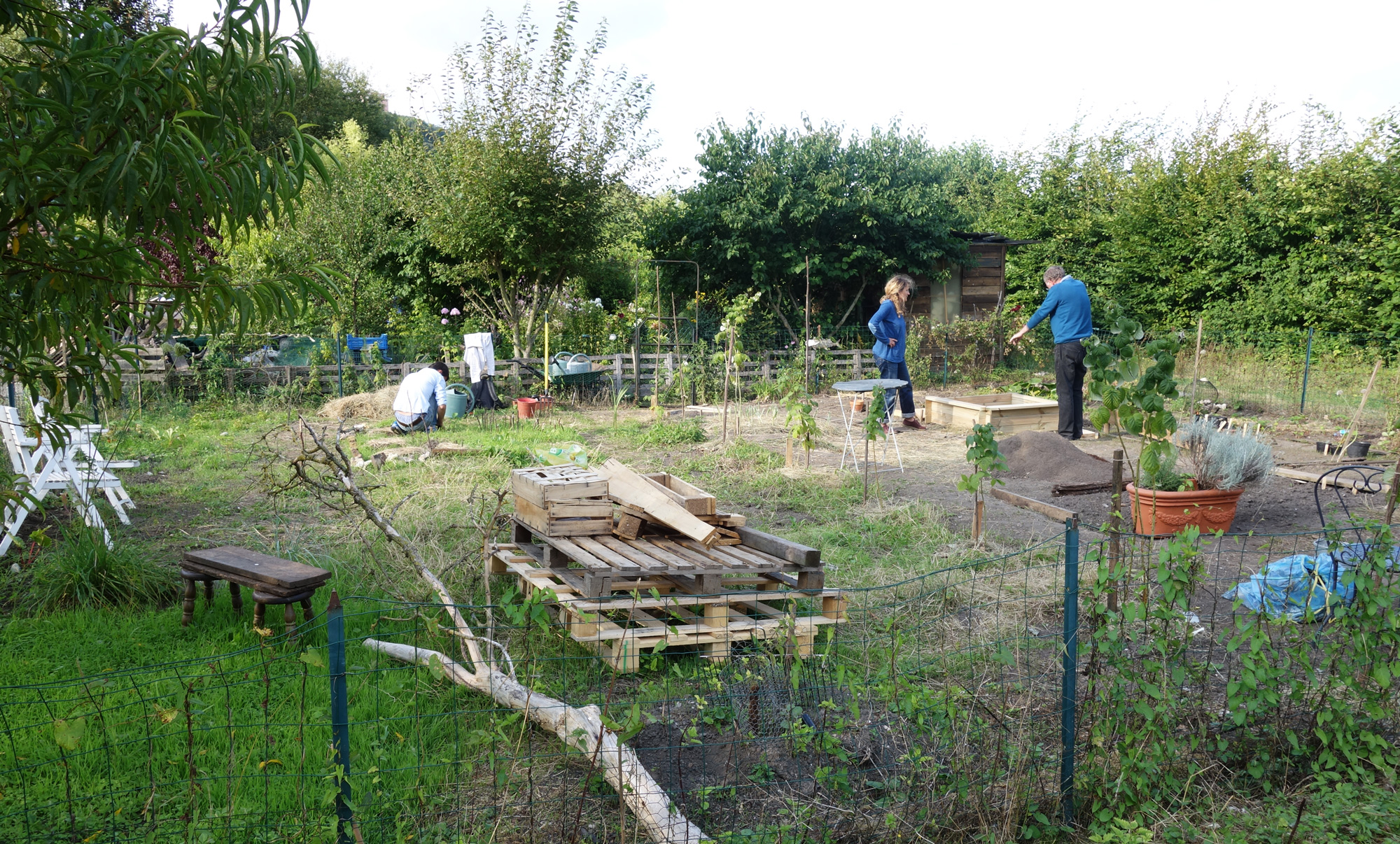 repainville - a bosse sur la parcelle 9 !
