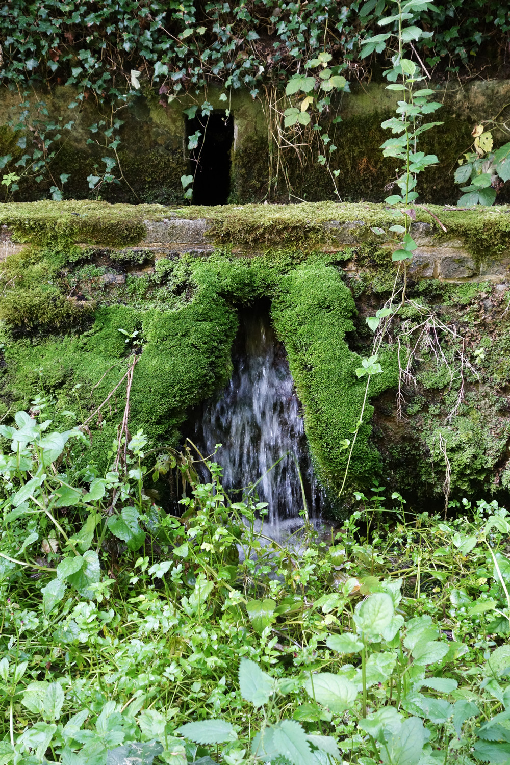 repainville - une des sources da repainville