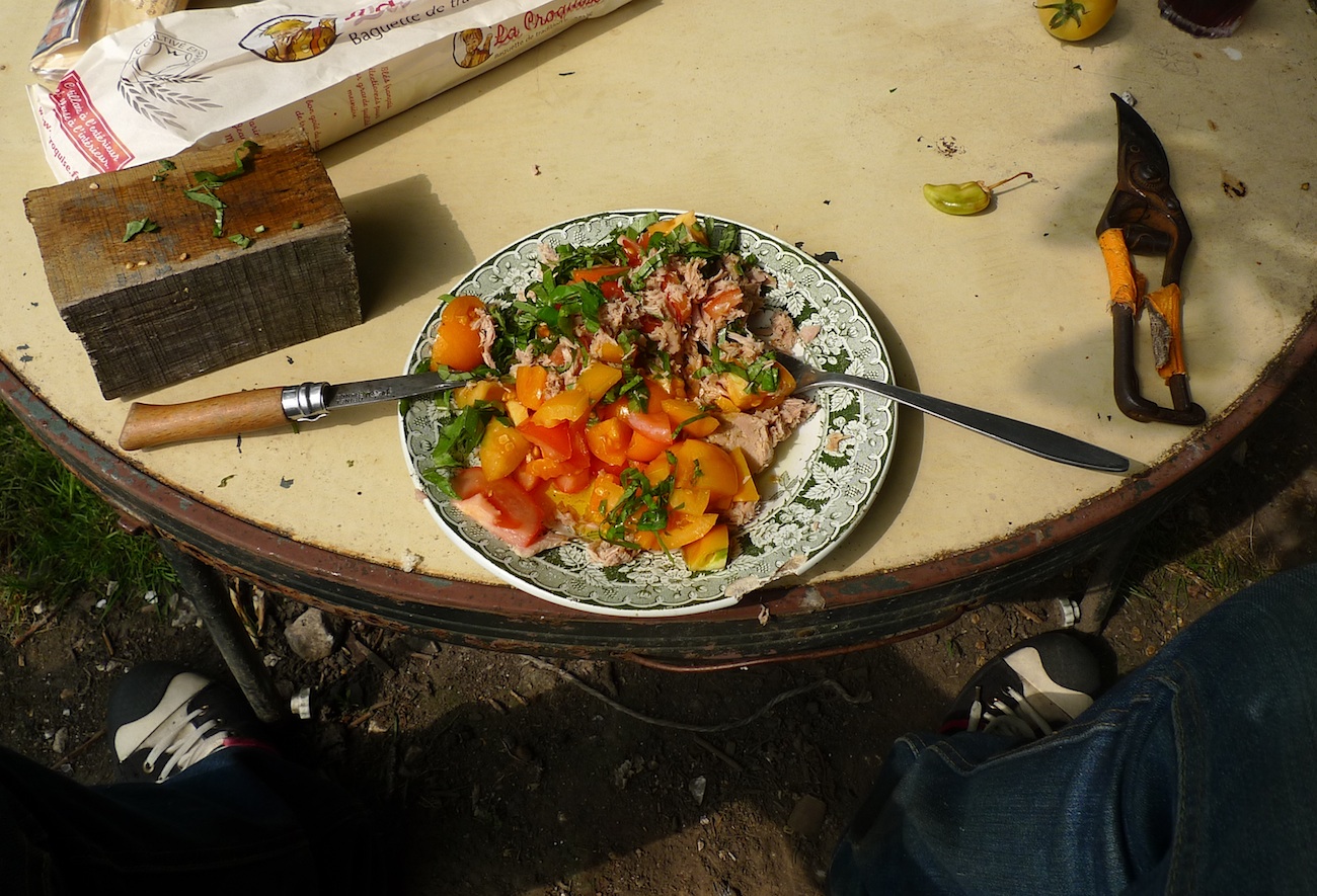 repainville - salade du jarding