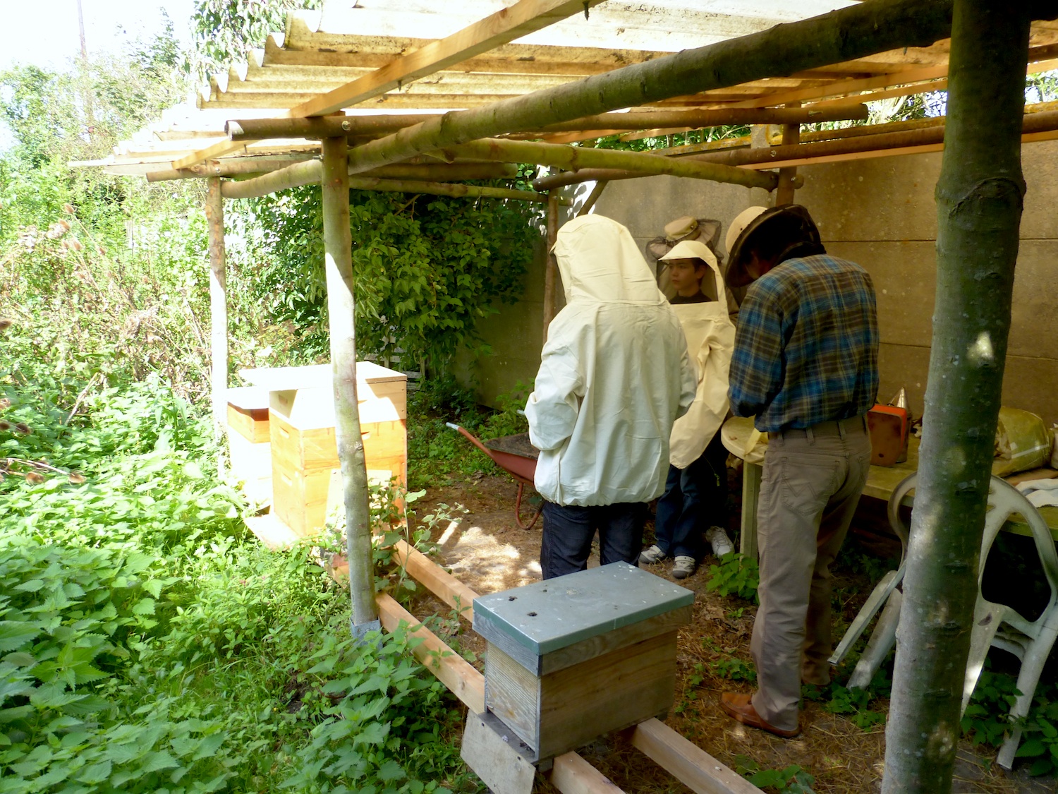 repainville - initiation  l'apiculture